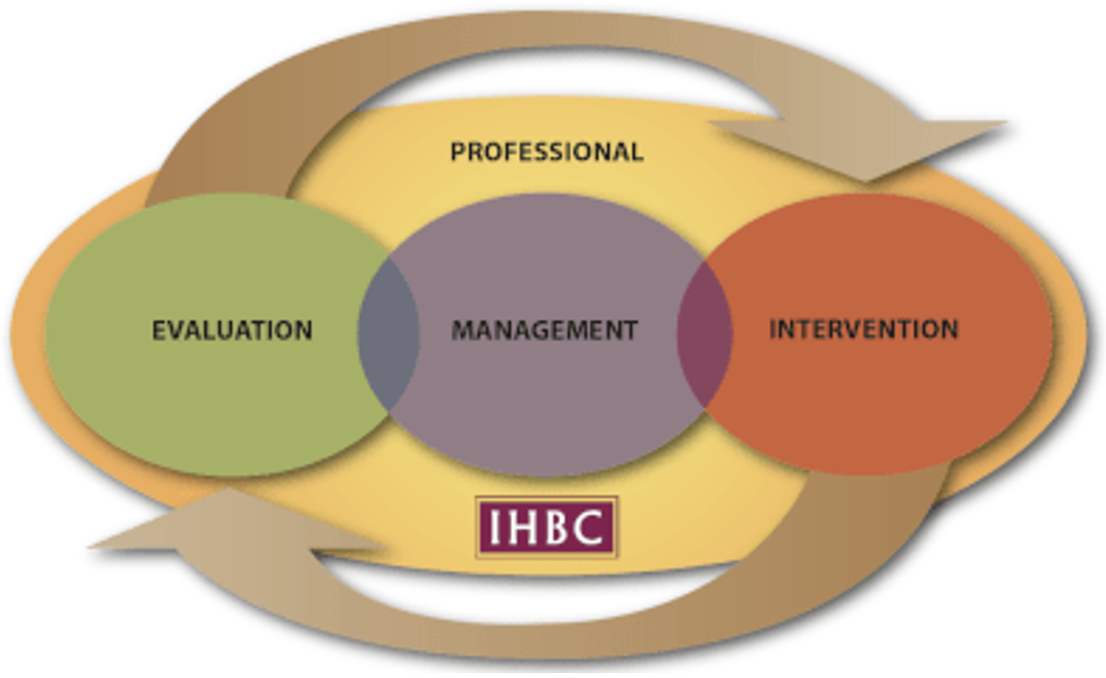 IHBC Conservation Cycle