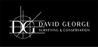 David George logo